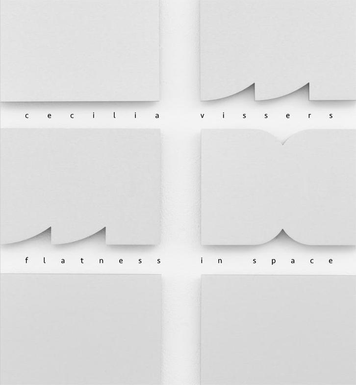 Cecilia Vissers. Flatness in Space 9789462262393 Vilis Inde, Boeken, Kunst en Cultuur | Beeldend, Zo goed als nieuw, Verzenden