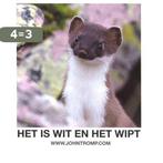 Het is wit en het wipt 9789080302808 John Tromp, Verzenden, Zo goed als nieuw, John Tromp