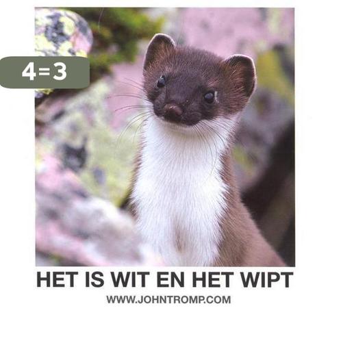 Het is wit en het wipt 9789080302808 John Tromp, Boeken, Hobby en Vrije tijd, Zo goed als nieuw, Verzenden