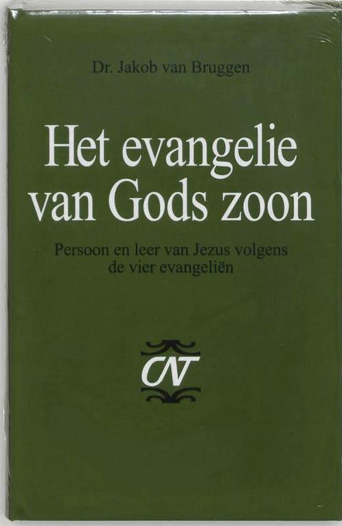 Commentaar op het Nieuwe Testament 5 - Het evangelie van, Boeken, Godsdienst en Theologie, Gelezen, Verzenden