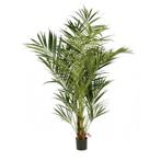 Kunstplant Kentia Palmboom 225 cm, Huis en Inrichting, Kamerplanten, Verzenden