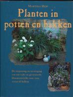 Planten In Potten En Bakken 9789036612357, Gelezen, Martina Hop, Verzenden
