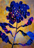 Lupo - Urban Jungle 132 - Real Gold - XXL-NO Reserve