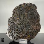 BRAHIN Pallasite SUPER XXL!!!! Snijd Amazing Olivins, - 462, Verzamelen