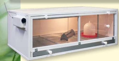 Kuikenopfokbox kunststof, met eenvoudige thermostaat, 60-70, Dieren en Toebehoren, Pluimvee | Toebehoren