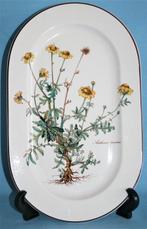 Villeroy & Boch - Assiette de service - Botanica - Vitro