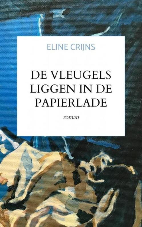 De vleugels liggen in de papierlade 9789464181371, Boeken, Romans, Gelezen, Verzenden
