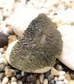 Moldaviet uit Chlum, Zuid-Bohemen - Hoogte: 48 mm - Breedte: