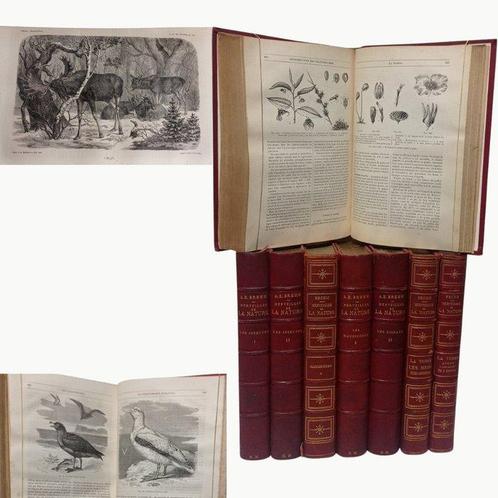 Brehm Alfred .E - Les oiseaux , les mammifères, la vies des, Antiek en Kunst, Antiek | Boeken en Manuscripten
