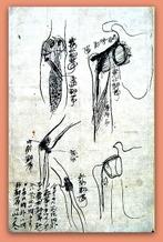 Kajiwara Shzen   - Medical Handwriting, Anatomy [Bones,, Nieuw