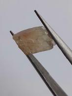 Natural orangey brown Apatite - 2.052 ct - Rough Gemstone fo, Verzenden
