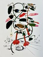 Salvador Dali (1904-1989) - Flora Sensuale