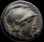 Seleucidische Rijk. Seleucus II Callinicus (246-225 v.Chr.).