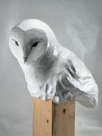 Federico Alibrio - White Barn owl