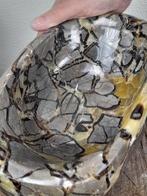 Grote zware Septarie (Drakensteen) edelsteen schaal - 8 kg -, Verzamelen, Mineralen en Fossielen