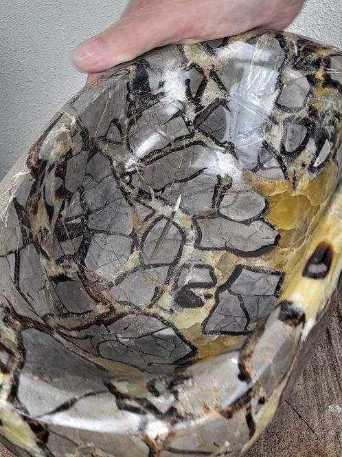 Grote zware Septarie (Drakensteen) edelsteen schaal - 8 kg -, Verzamelen, Mineralen en Fossielen