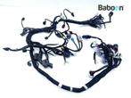 Kabelboom KTM 790 Duke L 2023- (63611075100), Motoren, Verzenden, Gebruikt