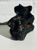 Wolharige mammoet - Fossiel wervelbot - Mammuthus