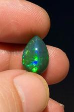 Opaal Negro Fuego Multicolor 4Ct - Light Ridge - Teardrop-, Collections