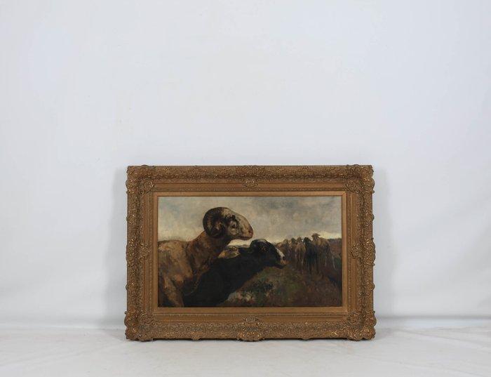 Willem Hendrik van der Nat (1864–1929) - Ram en ooi, Antiek en Kunst, Kunst | Schilderijen | Klassiek