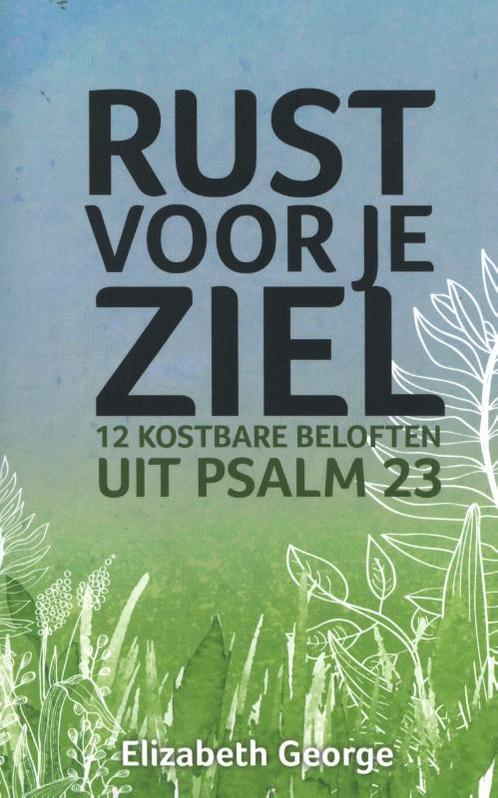 Rust voor je ziel 9789492234667 Elizabeth George, Livres, Religion & Théologie, Envoi