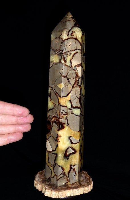 SEPTARIA Obelisk Hand sharpened and Hand polished / -, Verzamelen, Mineralen en Fossielen