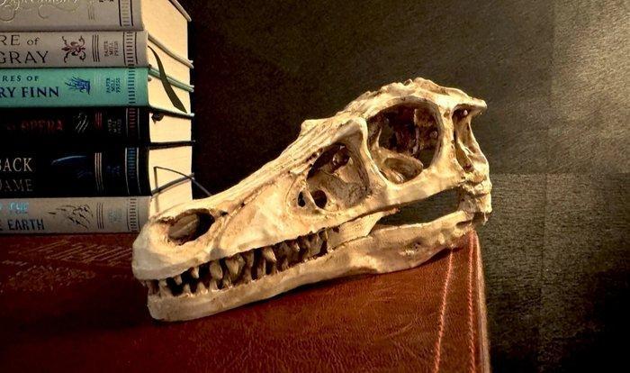 Jurassic Park, Verzamelen, Film en Tv