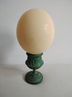 Struisvogel Ei - Struthio camelus - 28 cm - 13 cm - 13 cm-, Nieuw