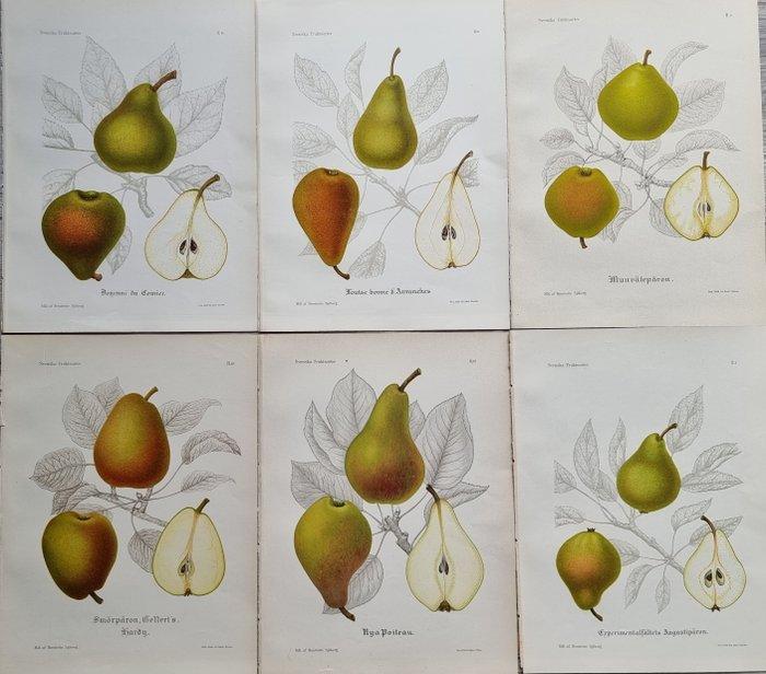 Henriette Sjöberg (1842 / 1915) - Jakob Eriksson (1848 /, Antiquités & Art, Antiquités | Livres & Manuscrits