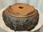 Bonsai schaal - 16x16x6,5cm - ongeglazuurd - Hoogte (boom):