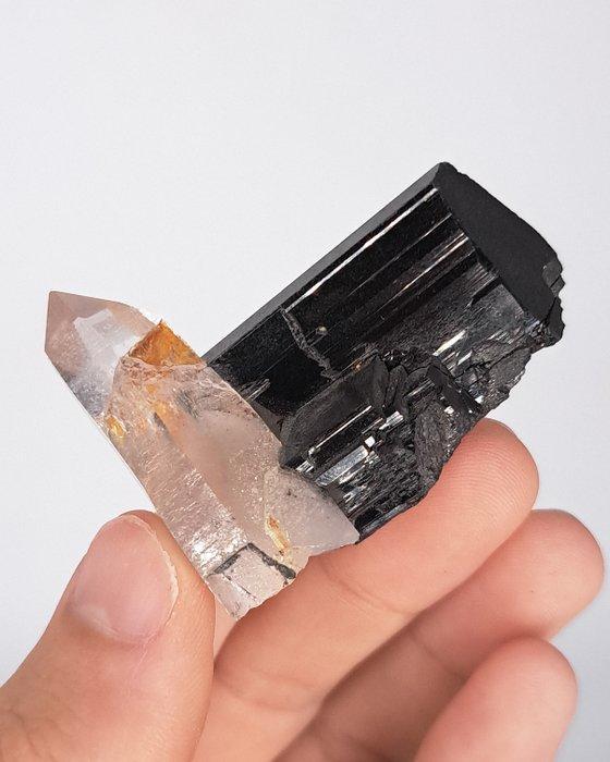 ESTHETISCH!! Heldere QUARTZ en WOLFRAMITE-combinatie Het, Verzamelen, Mineralen en Fossielen