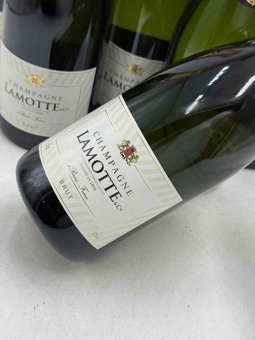 Lamotte - Champagne Brut - 6 Flessen (0.75 liter), Collections, Vins