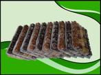 Quintet 10x100 gram diepvriesvoer (Visvoeding), Verzenden, Nieuw