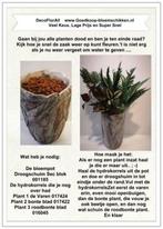 1 werkbeschrijving sparen max per klant pot botanical zij -, Huis en Inrichting, Woonaccessoires | Kunstplanten en Kunstbloemen