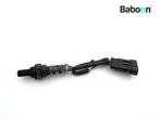 Lambda Sonde Moto Guzzi V11 1100 Cafe Ballabio 2003-2005, Verzenden, Gebruikt
