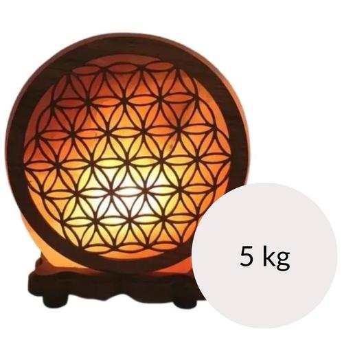 Himalaya Zoutlamp Flower of Life 5 kg, Sports & Fitness, Produits de santé, Wellness & Bien-être, Enlèvement ou Envoi