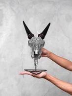 GEEN MINIMUMPRIJS - Authentieke grijze geiten schedel, met