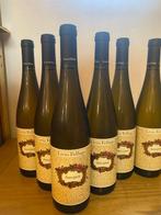 2023 Livio Felluga, Sauvignon - Friuli-Venezia Giulia DOC -, Verzamelen, Nieuw