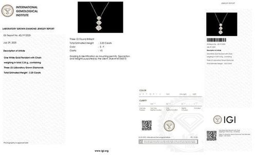 Zonder Minimumprijs - Halsketting - 14 karaat Witgoud -, Handtassen en Accessoires, Kettingen