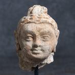 Gandhara Gips Hoofd van Boeddha - 3e-5e eeuw na Christus, Antiek en Kunst