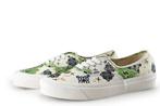 Vans Sneakers in maat 41 Groen | 5% korting, Kleding | Dames, Verzenden, Zo goed als nieuw, Sneakers, Vans