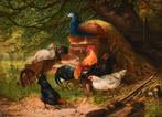 Otto Scheuerer (1862-1934) - Een pauw, haan en kippen