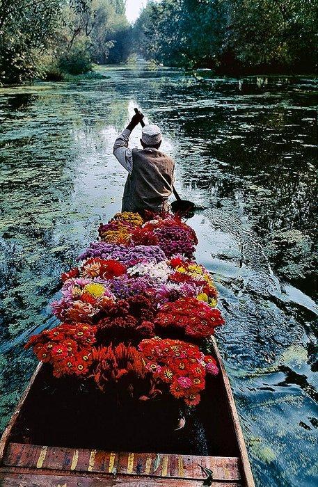 Steve McCurry (1950) - Flower Seller. Dal Lake, Srinagar,, Antiquités & Art, Art | Peinture | Moderne