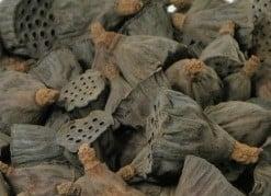 Lotus Mini 3–5 cm doos ca. 200 stuks, Huis en Inrichting, Woonaccessoires | Kunstplanten en Kunstbloemen, Nieuw