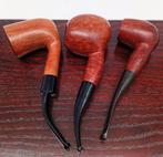 M. Giordano - Sans prix de réserve - Pipe - Bruyère, ébénite