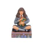 Harry Potter Hermione Brilliant and Confident 10 cm, Verzamelen, Harry Potter, Ophalen of Verzenden, Nieuw