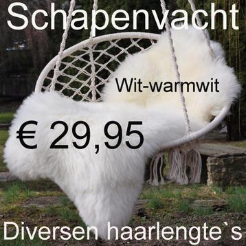 Schapenvacht WIT schapenhuid schapenvel € 29,95 NIEUW beschikbaar voor biedingen