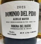 2023 Dominio del Pidio Albillo, white wine x1 & 2019, Verzamelen, Wijnen, Nieuw