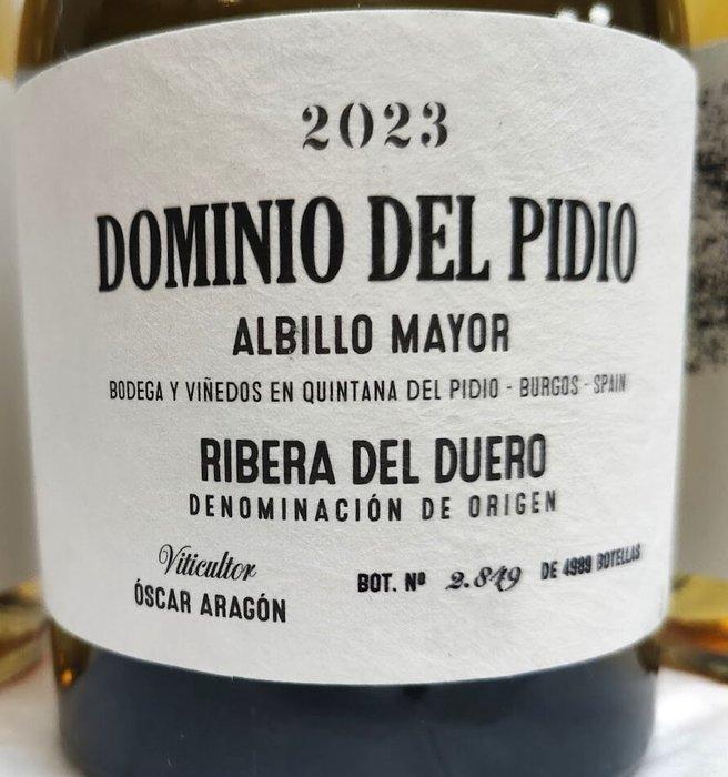 2023 Dominio del Pidio Albillo, white wine x1 & 2019, Verzamelen, Wijnen