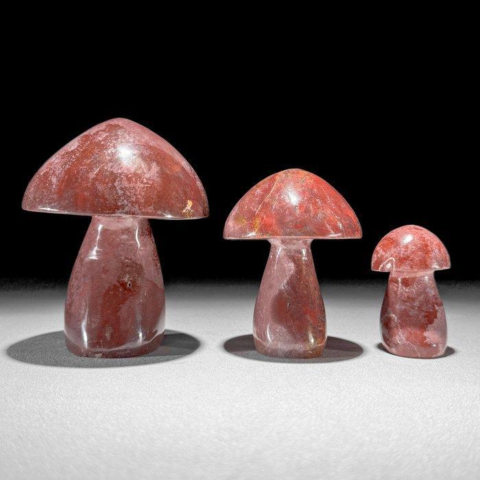 Geen minimumprijs - Prachtige set van rode Maligano Jasper., Antiek en Kunst, Kunst | Designobjecten